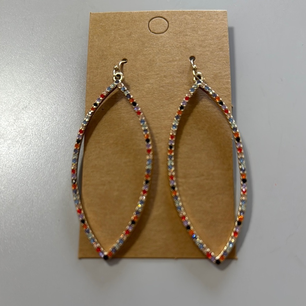 Multicolor Hoop Earrings